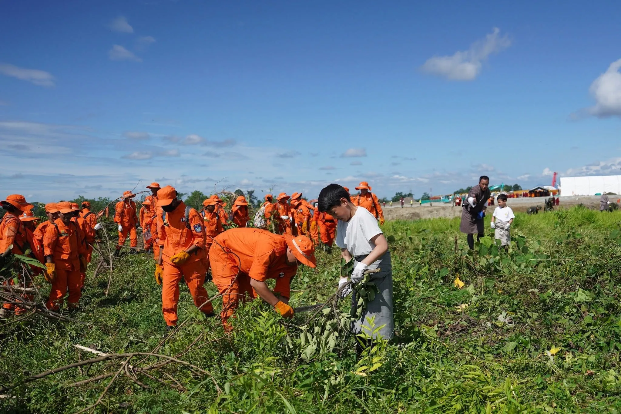 Volunteers in orange overalls clearing scrub in a green field