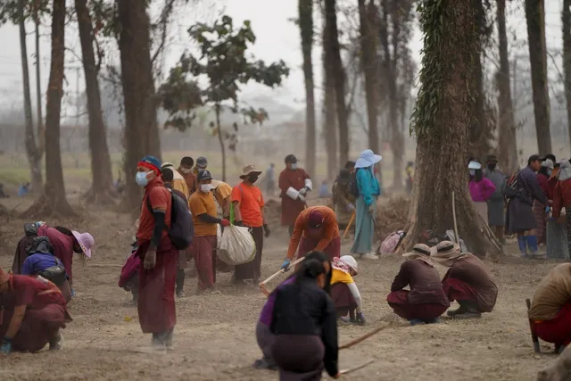 A large group of people in a wooded area clearing and levelling ground by hand
