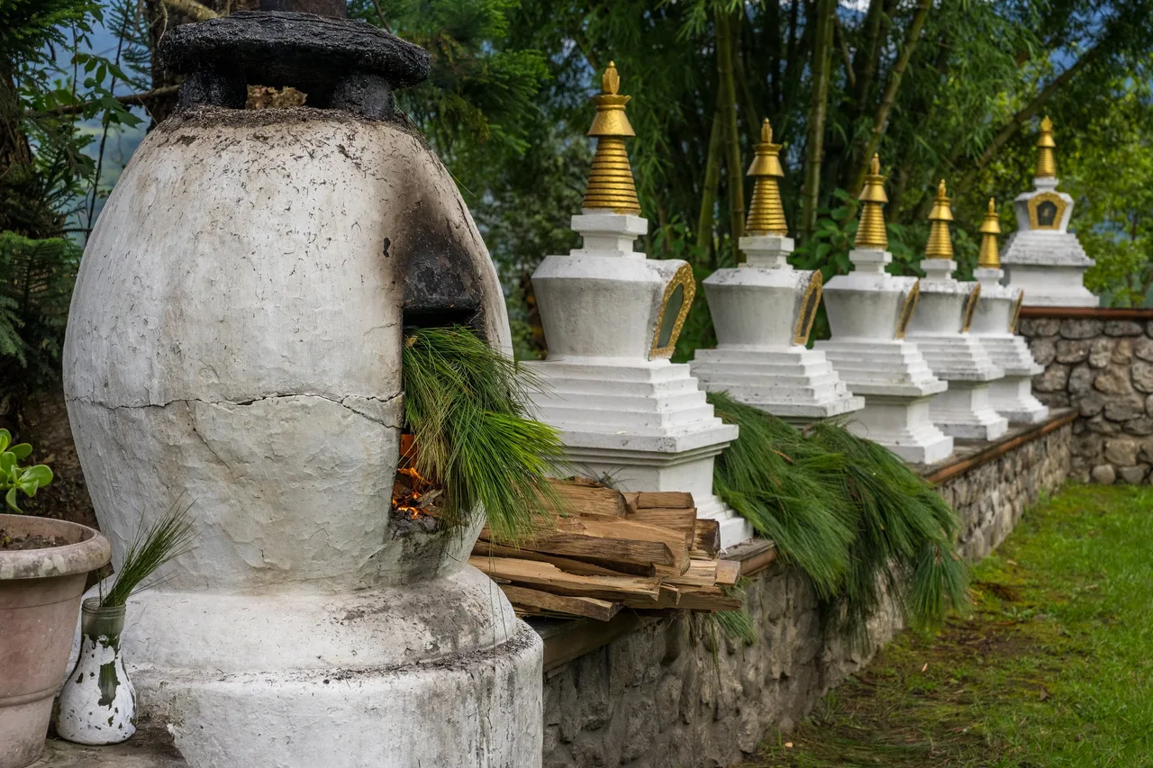 A row of white chortens with gold spires beside a whitewashed incense burner, pine boughs and firewood in the foreground